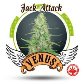 Venus Genetics - Jack Attack (5f)
