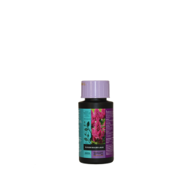 Bcuzz BlossomBuilder Liquid 100ml  (Atami)