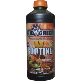 X-Rooting 1L.