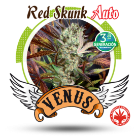 Venus Genetics - Red Skunk Auto (5f)