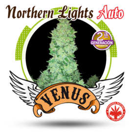 Venus Genetics - Northerm Light Auto (5f)