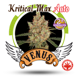 Venus Genetics - Kritical Max Auto (5f)