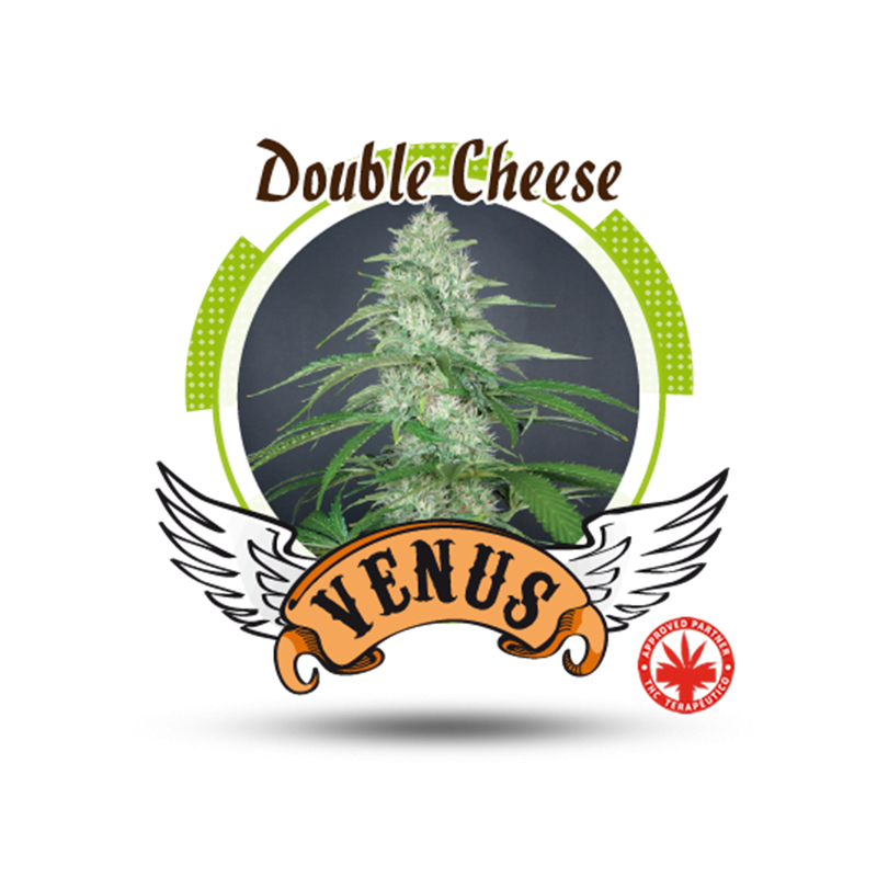 Venus Genetics - Double Cheese (5f)