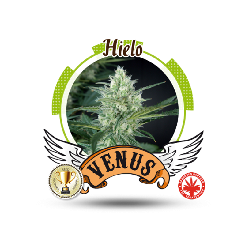 Venus Genetics - Hielo (5f)