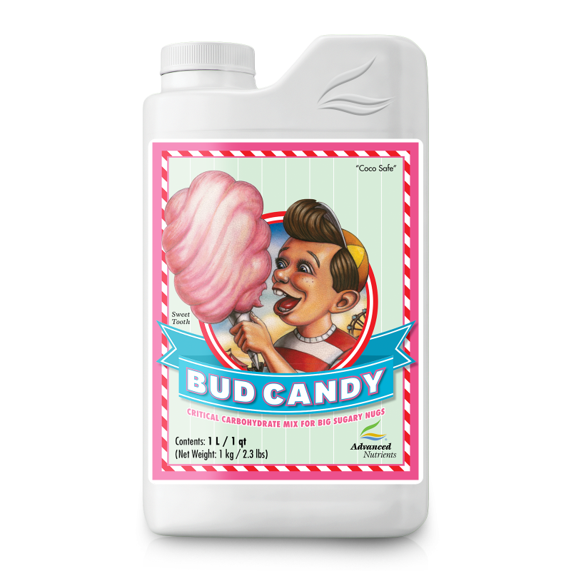 BUD CANDY 10L A.N.